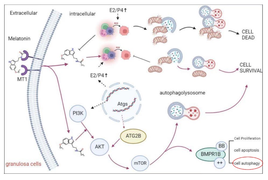 64fa9d9a76c83.jpg 64fa9d9a76c83.jpg