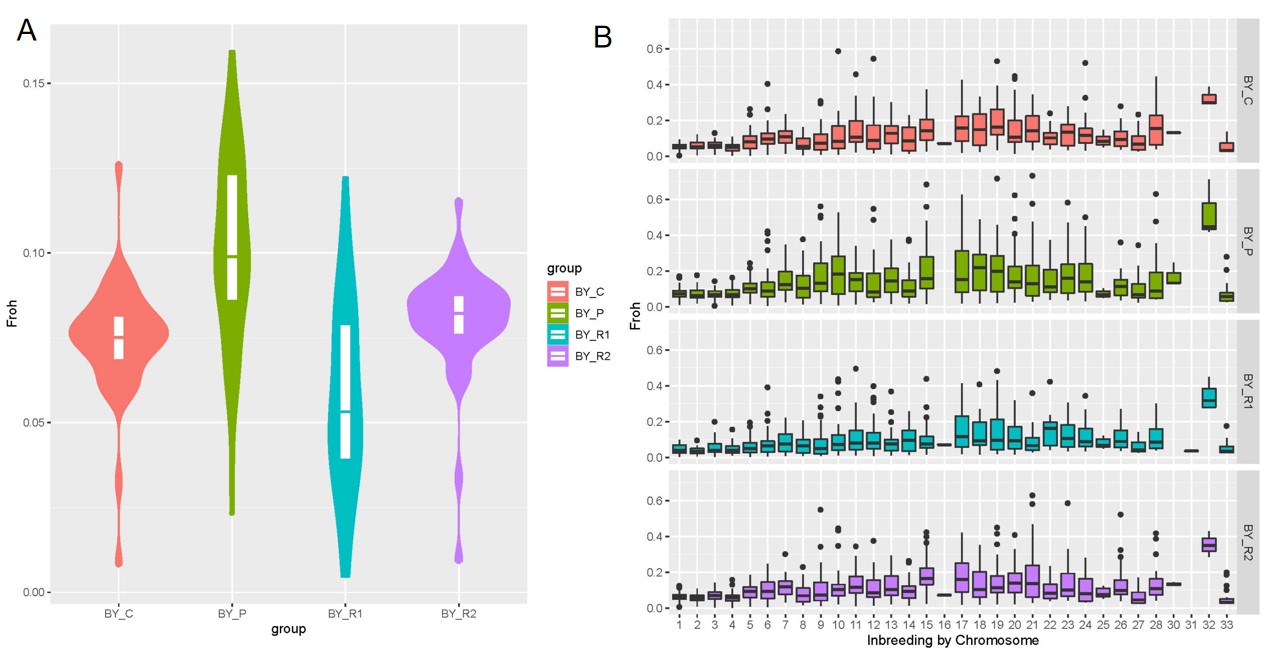 64fac13ac50ac.jpg 64fac13ac50ac.jpg