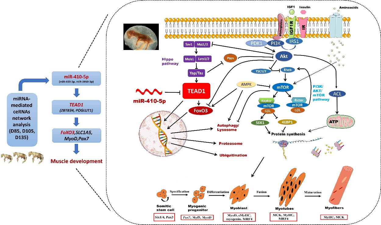 64fac6138a5a7.jpg 64fac6138a5a7.jpg
