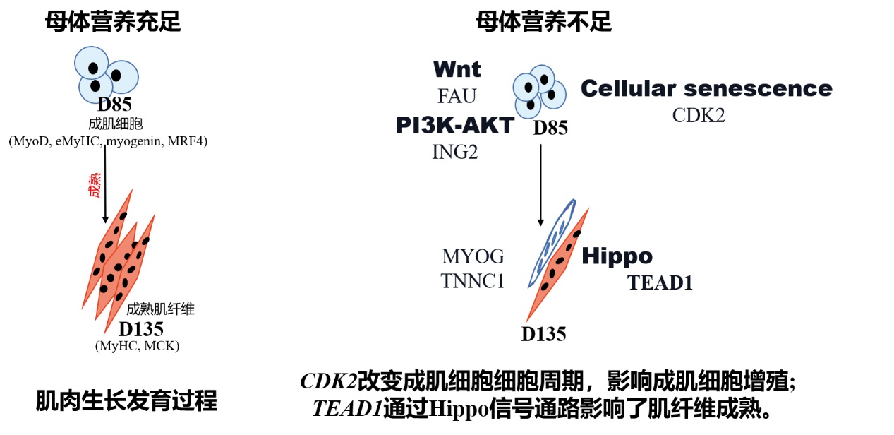 64fac655e74a9.jpg 64fac655e74a9.jpg