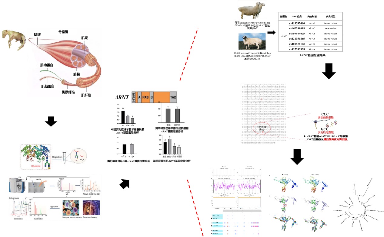 64face1999c4d.jpg 64face1999c4d.jpg