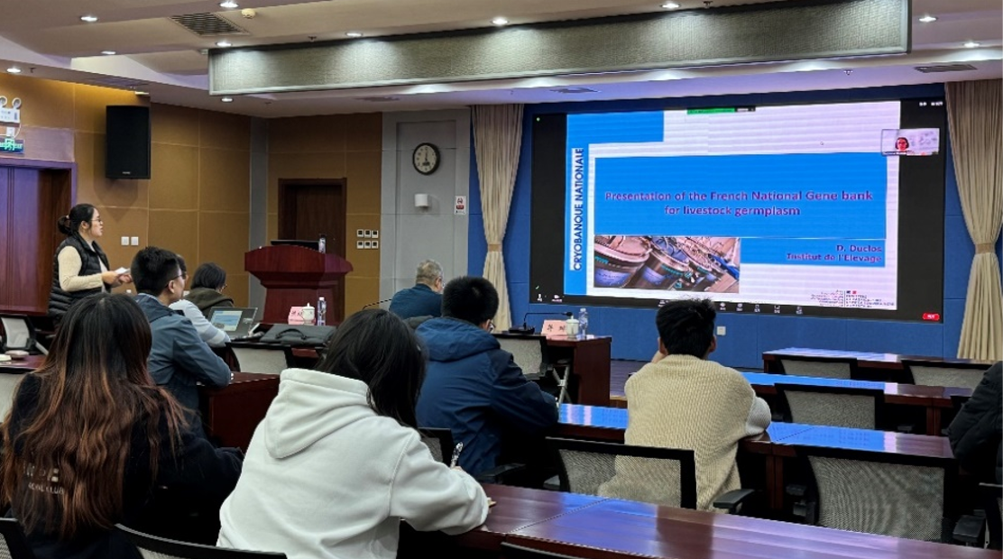 656d3dc5d8a9b.jpg 656d3dc5d8a9b.jpg