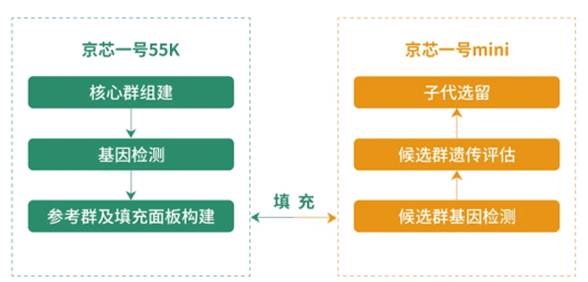 66f37369eba34.png