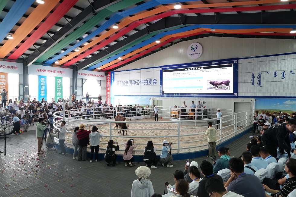 67774777eae32.jpg