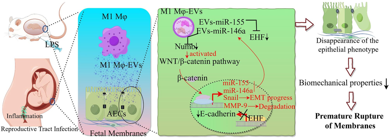 6861db6813767.png 6861db6813767.png