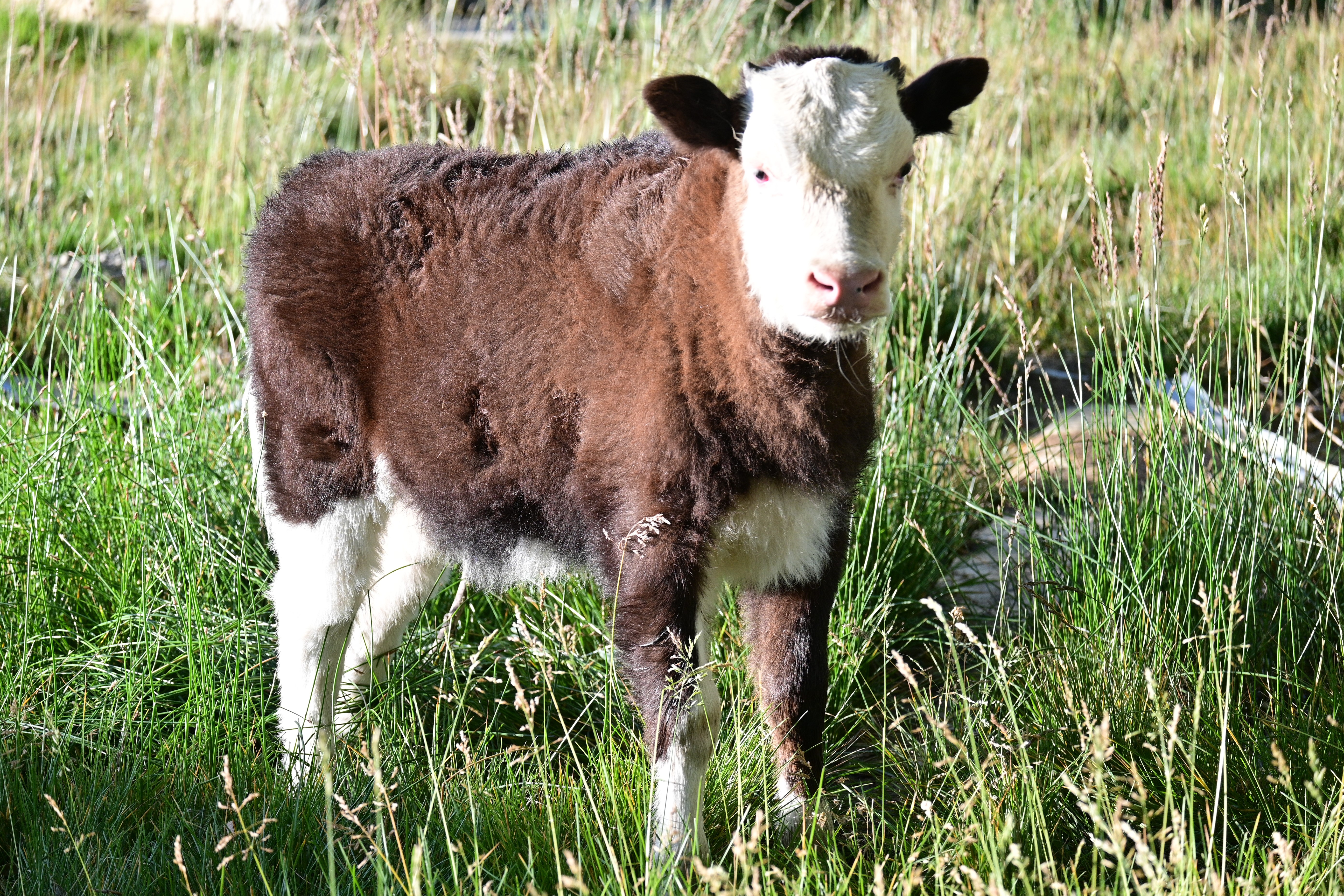 6870dd5da786f.jpg 6870dd5da786f.jpg