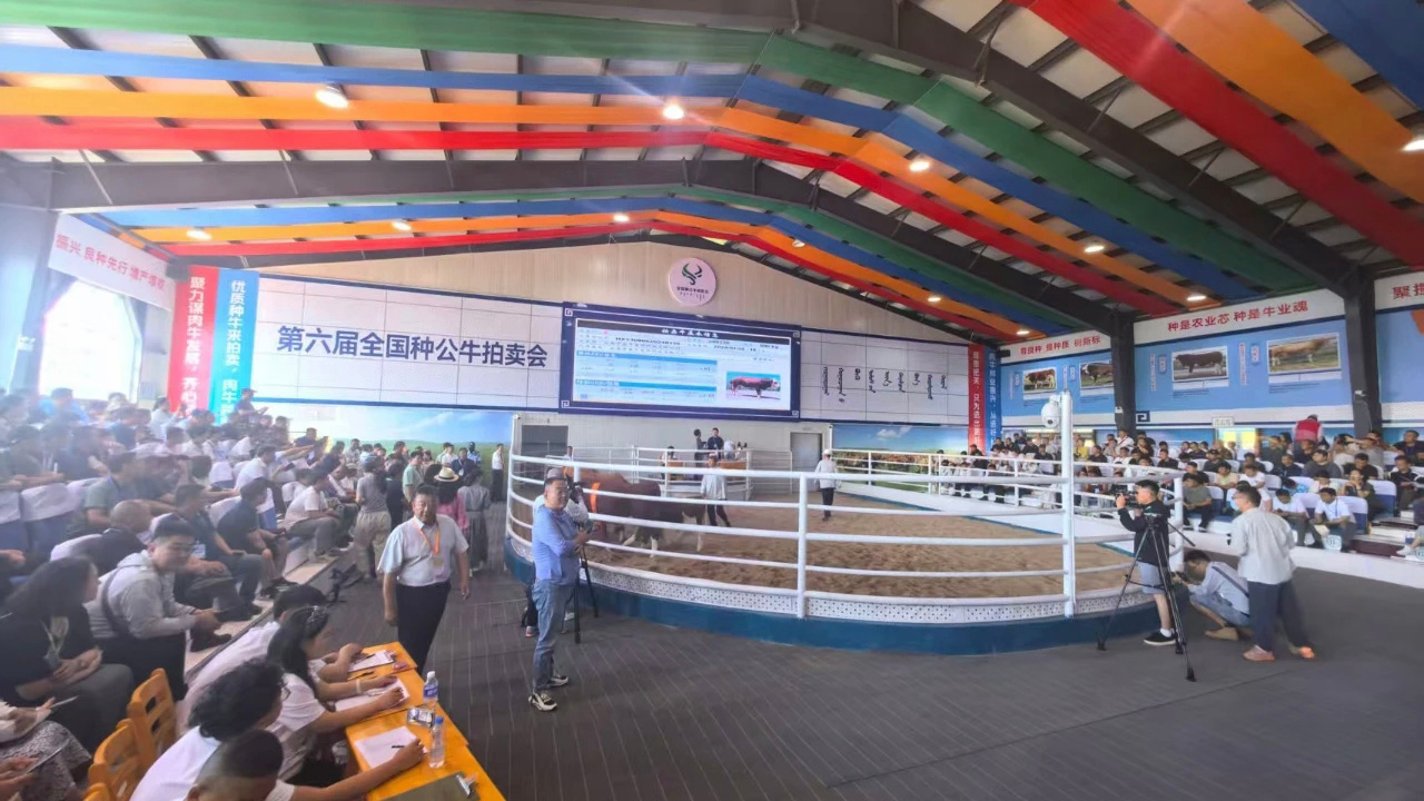 6889e1430d5a9.jpg 6889e1430d5a9.jpg