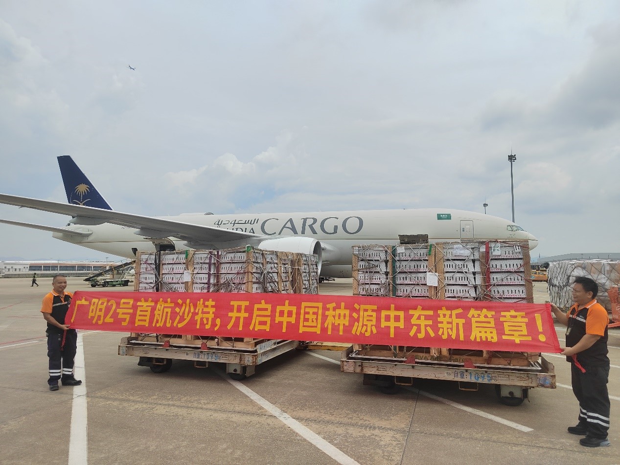 68a6cd76bd451.jpg 68a6cd76bd451.jpg