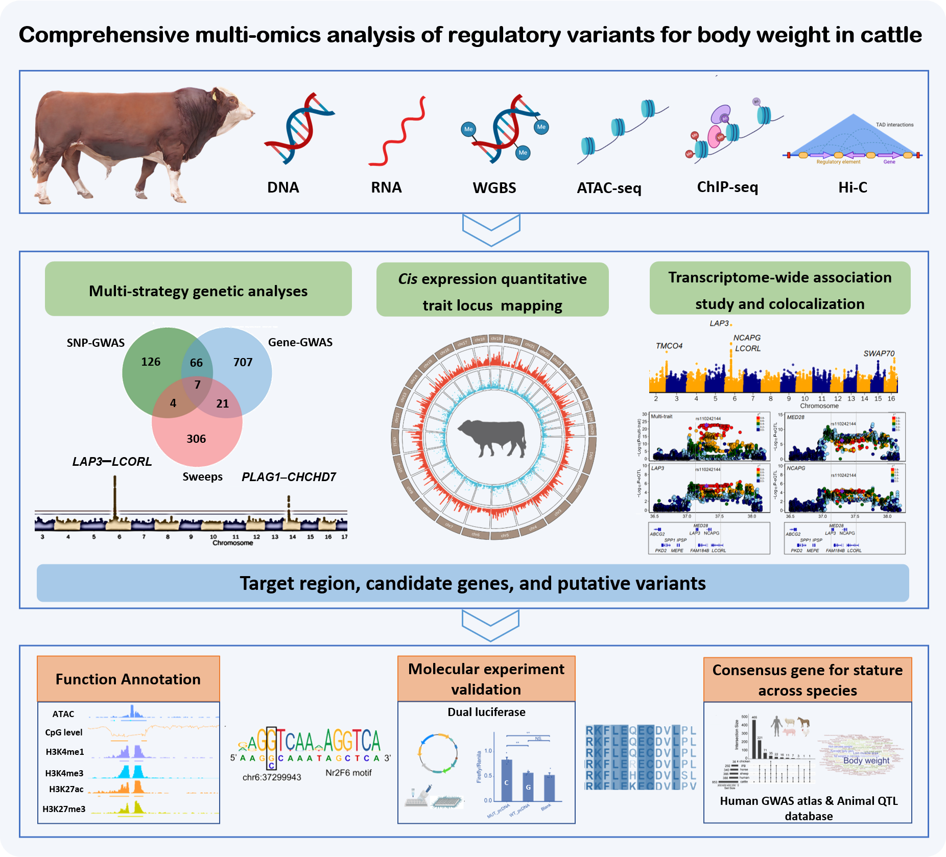 68b792b7b4cf2.png 68b792b7b4cf2.png