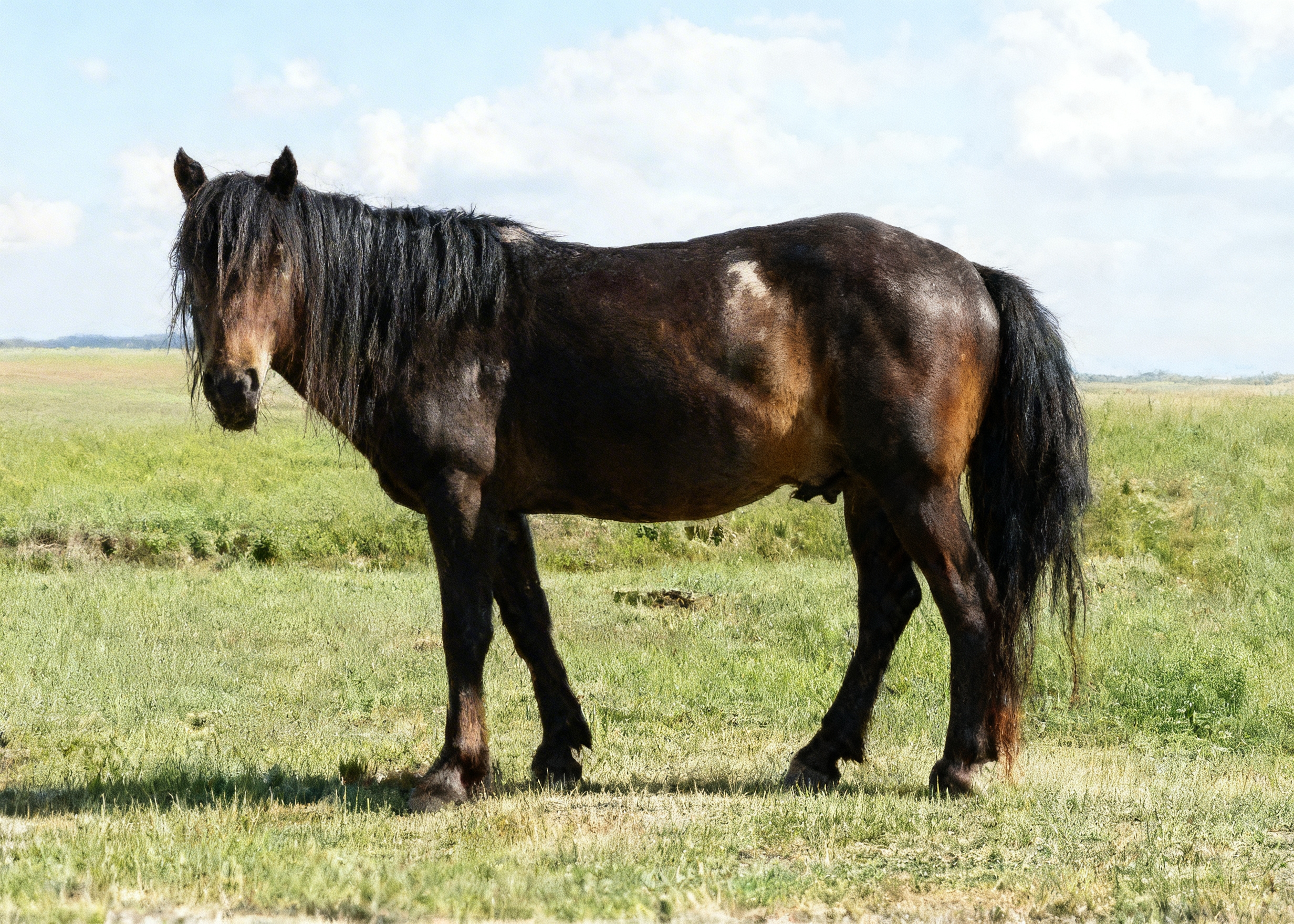 698ec71f685d7.jpeg 698ec71f685d7.jpeg