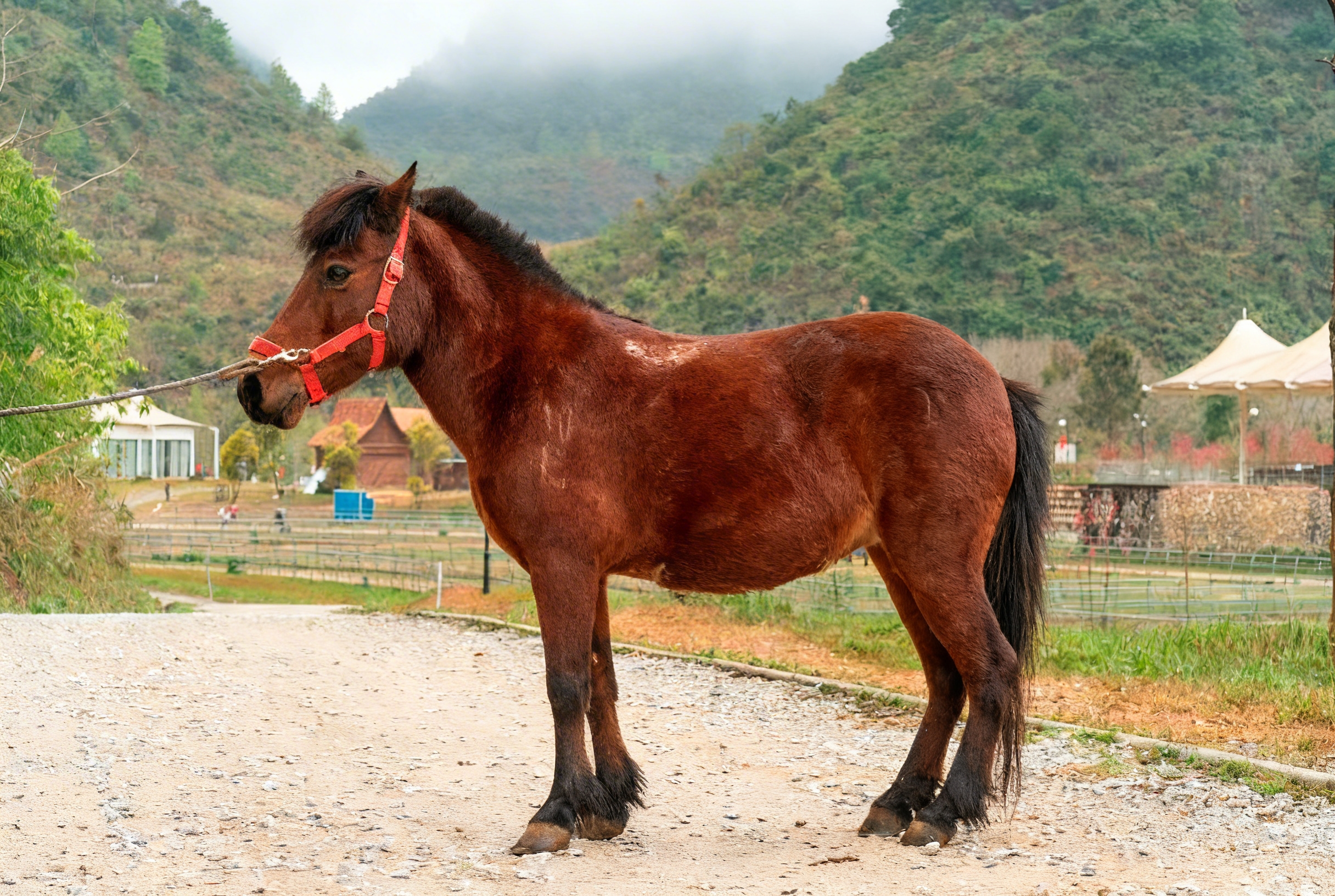 698ec77001610.jpeg 698ec77001610.jpeg