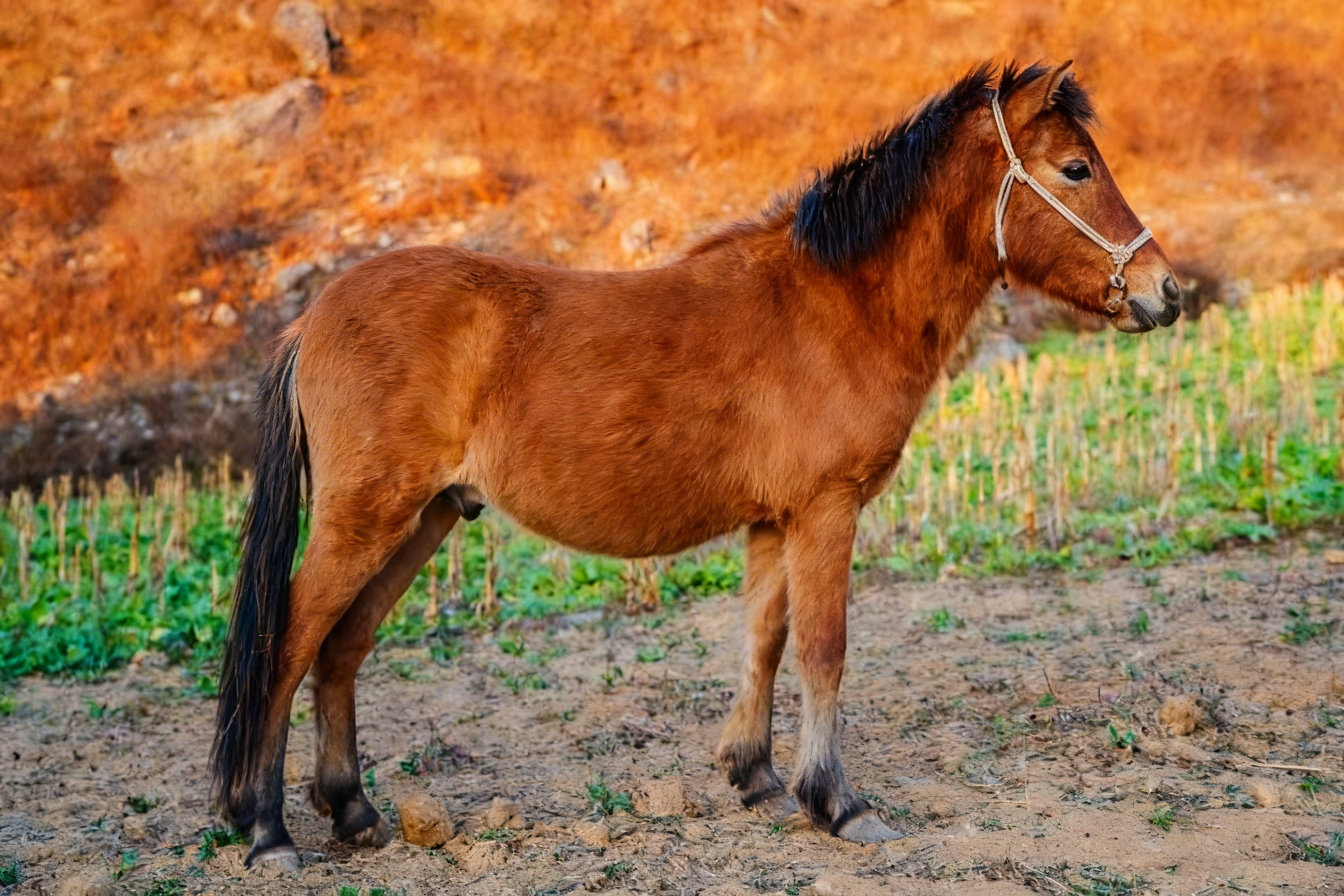 698ec7de60c21.jpeg 698ec7de60c21.jpeg