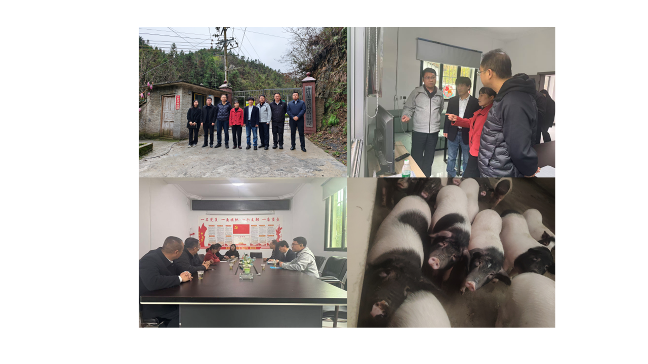 69d5a538d9418.png 69d5a538d9418.png